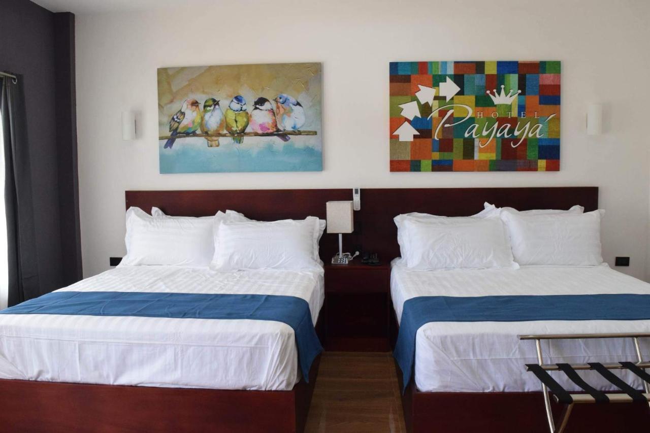Hotel Payaya 칸델라리아 데 라 프론테라 외부 사진